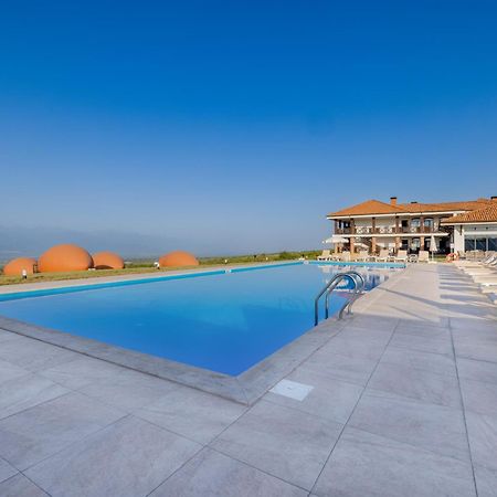 Hotel Qvevrebi Telavi Extérieur photo