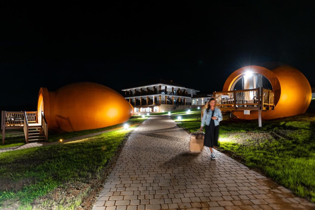 Hotel Qvevrebi Telavi Extérieur photo