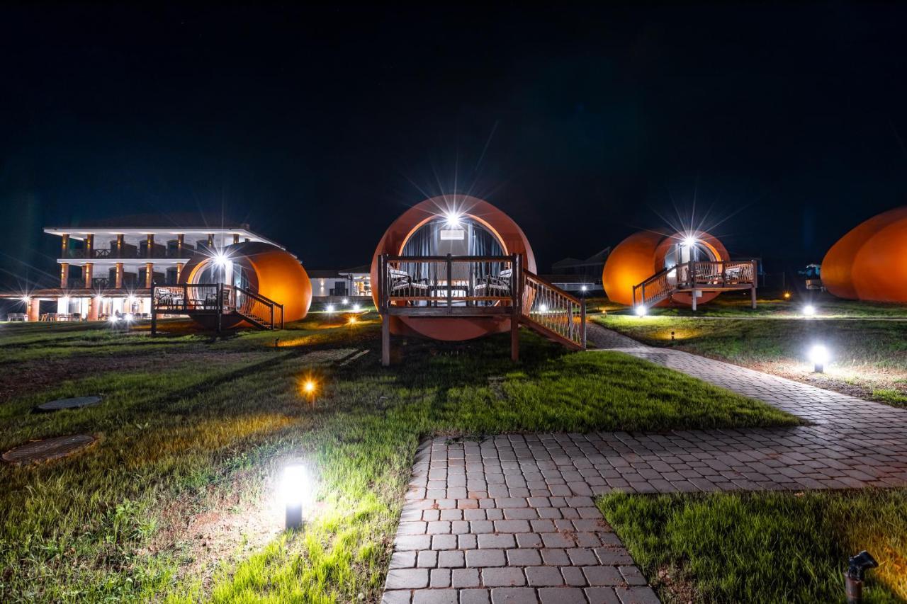 Hotel Qvevrebi Telavi Extérieur photo
